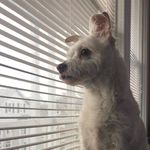 Paul Greenlaw - @arthur.flood - Instagram