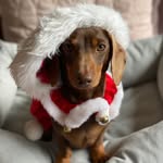 Arthur George - @arthurgeorgeag - Instagram