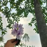 Arthur V. Gilmore - @arthurv.gilmore - Instagram