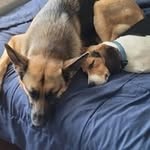 Arthur Gipson - @dragonslayer227g - Instagram