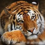 Arthur Goldberg - @arthur.goldberg.963 - Instagram