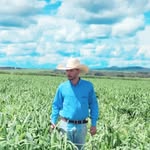 Arthur Guerra - @guerra_arthur - Instagram