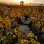 arthur gunter - @penguin.meets.world - Instagram