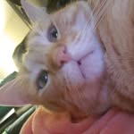Arthur Blazier Hagan - @baby_arfie - Instagram