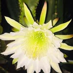 Richard Arthur Hagan - @richardarthurhagan - Instagram
