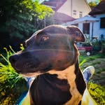 Arthur Hall-Jackson - @kanka4609 - Instagram