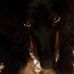 Arthur Hammond - Facebook