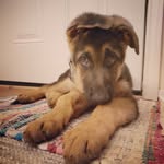 Arthur Harrison - @kingarthuratx - Instagram