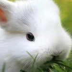 @arthur_hase - Instagram