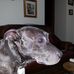 Arthur Hatton - Facebook