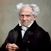 Arthur Schopenhauer - @arthur_shopenhauer - TikTok