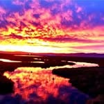 Arthur Hayden - @arthurhayden - Instagram