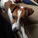Arthur Heartly - @arthurheartly - Instagram