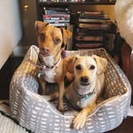 Penny Lane & Arthur Weasley - @arthurheartspenny - Instagram