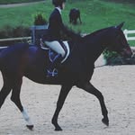 Arthur Hecker - @arthurhecker - Instagram
