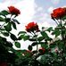 Arthur Hemphill - Facebook