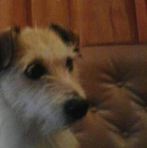 Arthur Hendricks - Facebook