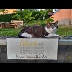 Arthur Hermann - @arthurhermann79 - Instagram