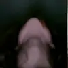arthurherrin2 - @mymentalillness_ - TikTok