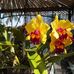 Arthur Heyer - Facebook