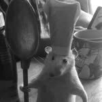 Arthur hibbert johnson - @ratcreature0_0 - Instagram