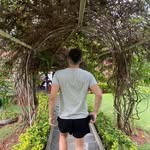 Arthur Hoffmann - @_arthurhoffmann_ - Instagram