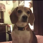 Arthur Huckaby - @huckaby.arthur - Instagram