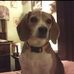 Arthur Huckaby - Facebook