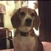 Arthur Huckaby - Facebook
