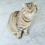 ארתור קרנר - @arthur_kerner - Instagram