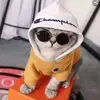 Arthur Lacy - @arthurlacy684 - TikTok