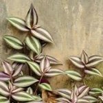 Arthur Lai - @arthurlai00 - Instagram