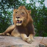 Arthur Lampert - @lampert.arthur - Instagram
