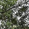 arthurlauer626 - @arthurlauer626 - TikTok
