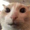 Arthur A Leach - @arthuraleachgr8 - TikTok