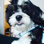 Gordon Arthur Leblanc - @gordon.leblanc - Instagram