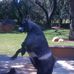 Arthur Ledesma - Facebook