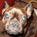 Arthur Lester - Facebook