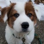 Barnaby Arthur MacDonald - @barnabyarthurmacdonald - Instagram