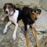 Arthur Manning - @arthurmanning44 - Instagram