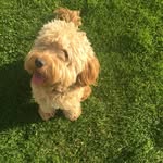 Arthur Marsh - @arthurpatrickmarsh - Instagram