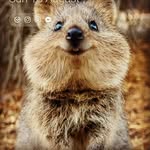 Arthur Marsh - @og_arfa - Instagram