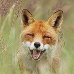 Arthur Marshall - @arthur.marshall.9083 - Instagram