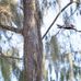 Arthur R. Marshall Loxahatchee National Wildlife Refuge - Facebook
