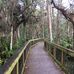 Arthur R Marshall Loxahatchee Wildlife Refuge - Facebook