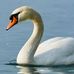 Arthur McDermott - Facebook