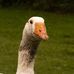 Arthur McDermott - Facebook