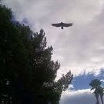 arthur mclaughlin - @arthur1960100 - Instagram