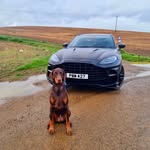 @arthur_mclean2023 - Instagram