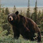 Arthur Mensch - @arthur.mensch.14 - Instagram